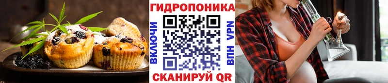 купить  цена  Медынь  Печенье с ТГК конопля 