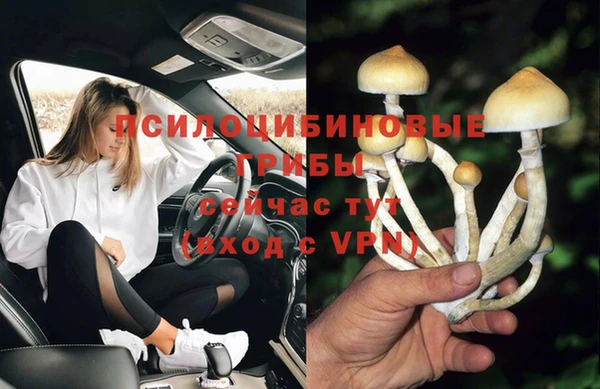 МДПВ Армянск