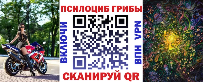 Галлюциногенные грибы Psilocybine cubensis Медынь